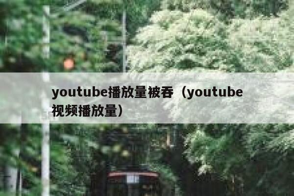 youtube播放量被吞（youtube视频播放量） 第1张
