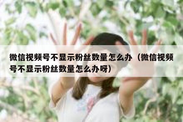 微信视频号不显示粉丝数量怎么办（微信视频号不显示粉丝数量怎么办呀） 第1张