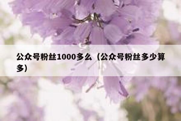 公众号粉丝1000多么（公众号粉丝多少算多） 第1张