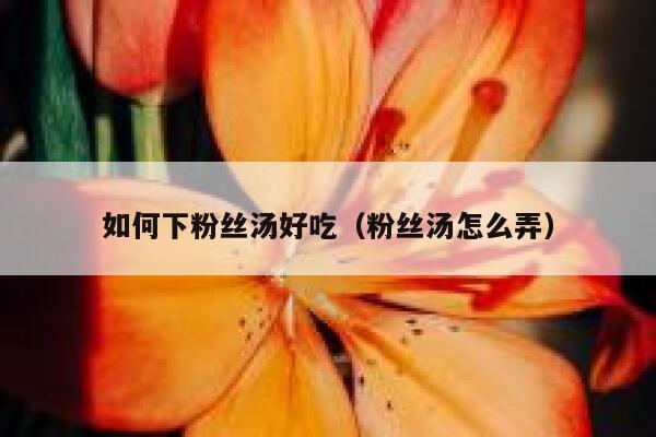 如何下粉丝汤好吃（粉丝汤怎么弄） 第1张