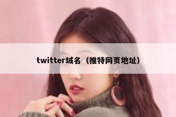 twitter域名（推特网页地址） 第1张
