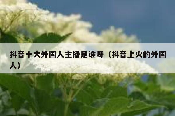 抖音十大外国人主播是谁呀（抖音上火的外国人） 第1张