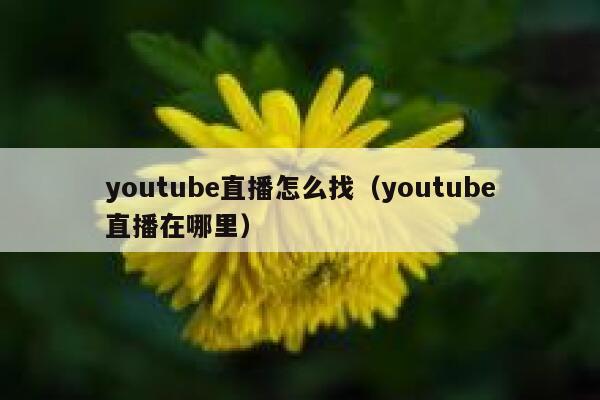 youtube直播怎么找（youtube直播在哪里） 第1张