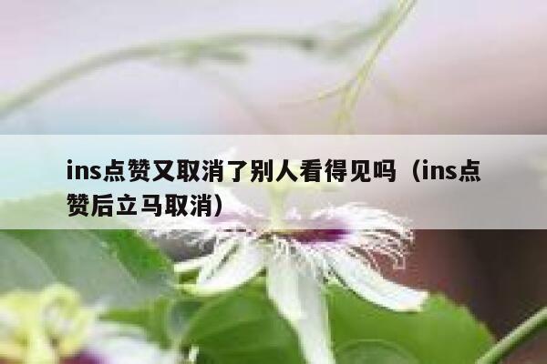 ins点赞又取消了别人看得见吗（ins点赞后立马取消） 第1张