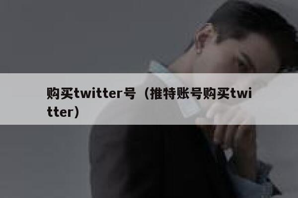 购买twitter号（推特账号购买twitter） 第1张