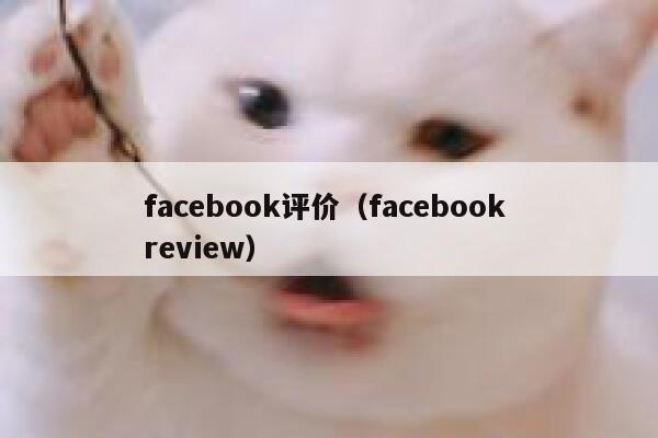 facebook评价（facebook review） 第1张