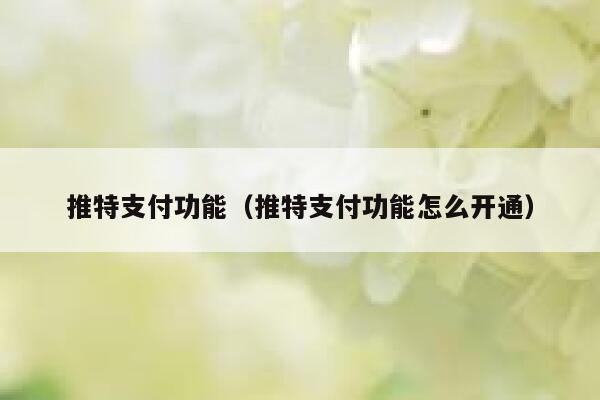 推特支付功能（推特支付功能怎么开通） 第1张