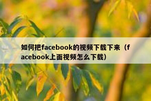 如何把facebook的视频下载下来（facebook上面视频怎么下载） 第1张