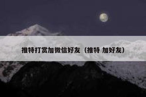 推特打赏加微信好友（推特 加好友） 第1张