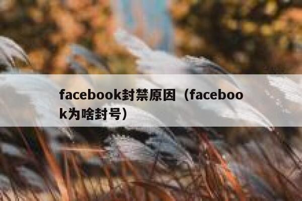 facebook封禁原因（facebook为啥封号） 第1张