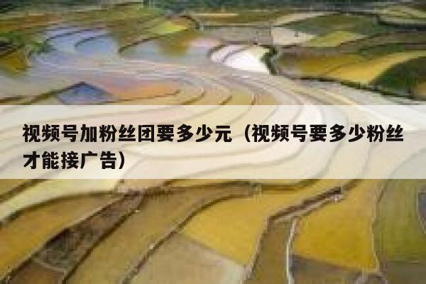 视频号加粉丝团要多少元（视频号要多少粉丝才能接广告） 第1张