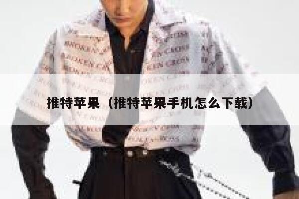 推特苹果（推特苹果手机怎么下载） 第1张