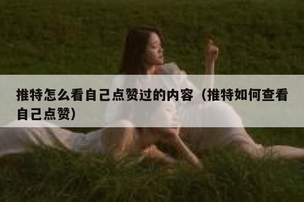 推特怎么看自己点赞过的内容（推特如何查看自己点赞） 第1张