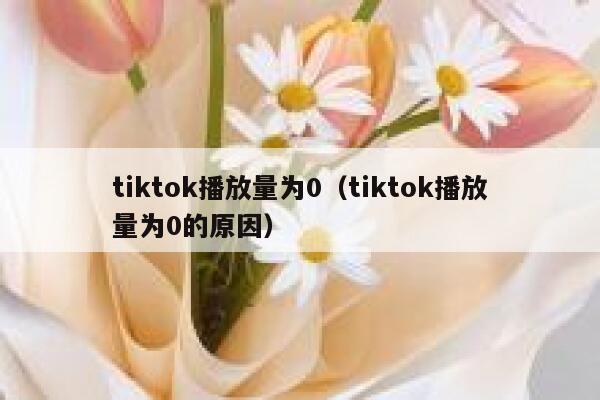 tiktok播放量为0（tiktok播放量为0的原因） 第1张