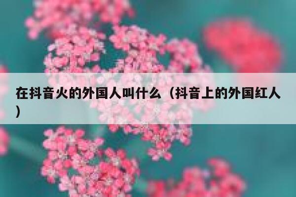 在抖音火的外国人叫什么（抖音上的外国红人） 第1张
