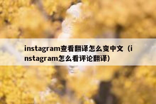 instagram查看翻译怎么变中文（instagram怎么看评论翻译） 第1张
