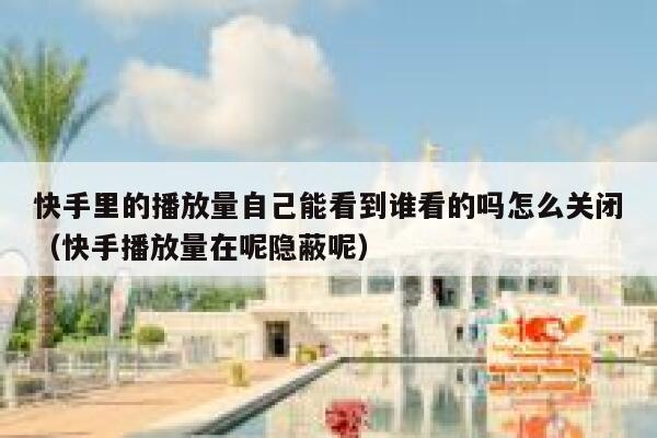 快手里的播放量自己能看到谁看的吗怎么关闭（快手播放量在呢隐蔽呢） 第1张