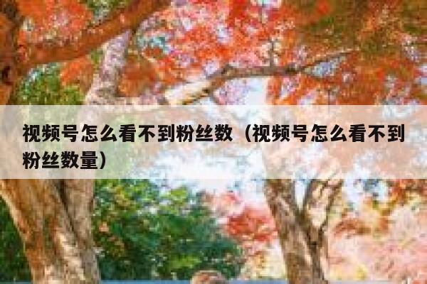 视频号怎么看不到粉丝数（视频号怎么看不到粉丝数量） 第1张