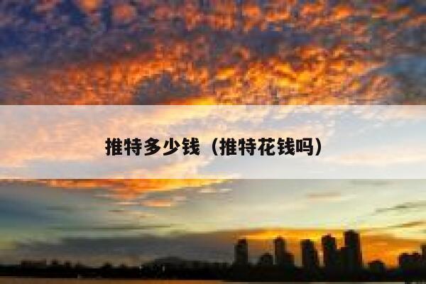 推特多少钱（推特花钱吗） 第1张