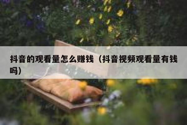 抖音的观看量怎么赚钱（抖音视频观看量有钱吗） 第1张