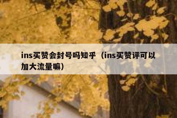 ins买赞会封号吗知乎（ins买赞评可以加大流量嘛） 第1张