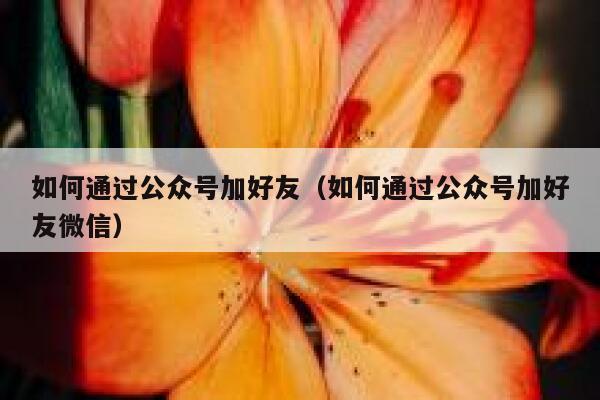 如何通过公众号加好友（如何通过公众号加好友微信） 第1张