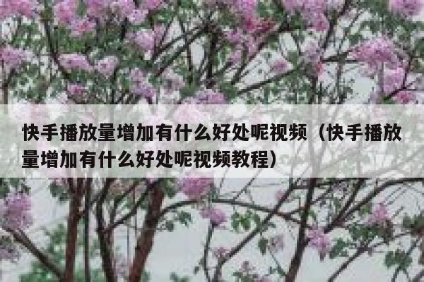 快手播放量增加有什么好处呢视频（快手播放量增加有什么好处呢视频教程） 第1张