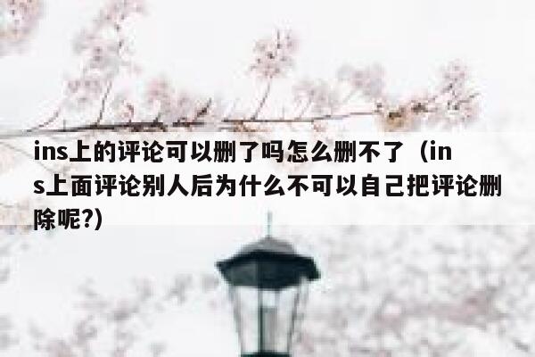 ins上的评论可以删了吗怎么删不了（ins上面评论别人后为什么不可以自己把评论删除呢?） 第1张