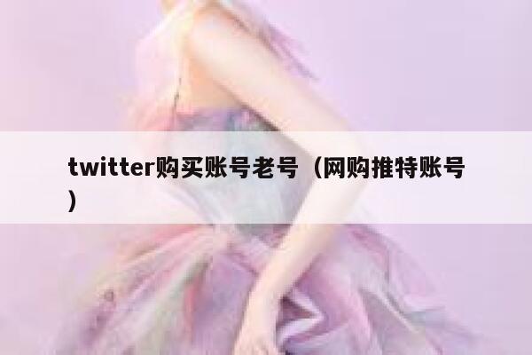twitter购买账号老号（网购推特账号） 第1张