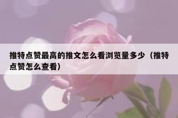 推特点赞最高的推文怎么看浏览量多少（推特点赞怎么查看） 第1张