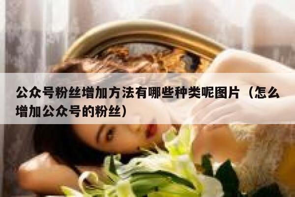 公众号粉丝增加方法有哪些种类呢图片（怎么增加公众号的粉丝） 第1张