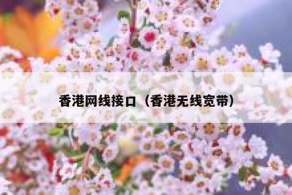 香港网线接口（香港无线宽带） 第1张