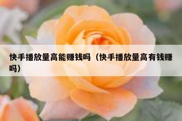 快手播放量高能赚钱吗（快手播放量高有钱赚吗） 第1张