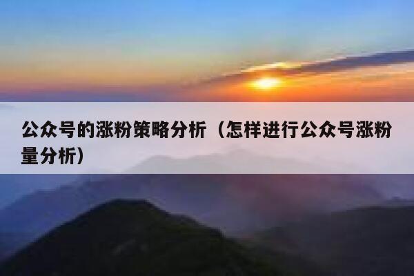 公众号的涨粉策略分析（怎样进行公众号涨粉量分析） 第1张