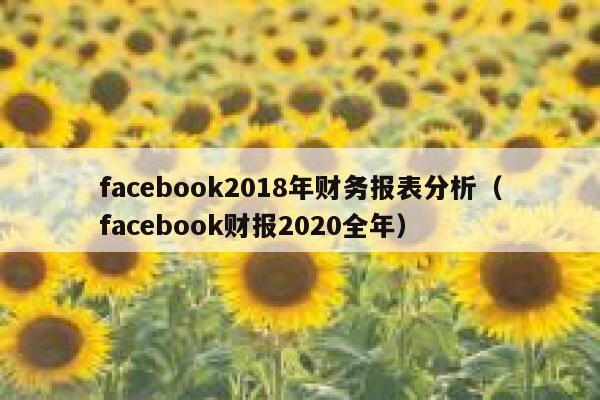 facebook2018年财务报表分析（facebook财报2020全年） 第1张