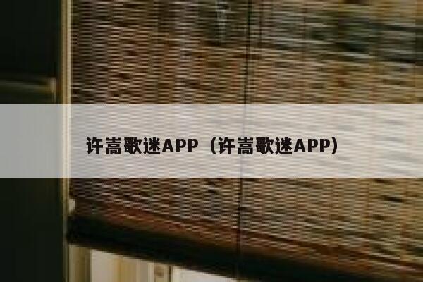 许嵩歌迷APP（许嵩歌迷APP） 第1张