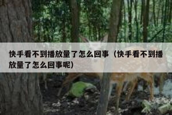 快手看不到播放量了怎么回事（快手看不到播放量了怎么回事呢） 第1张
