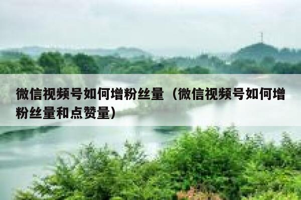 微信视频号如何增粉丝量（微信视频号如何增粉丝量和点赞量） 第1张