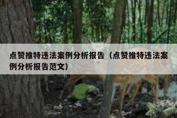 点赞推特违法案例分析报告（点赞推特违法案例分析报告范文） 第1张