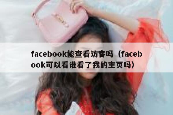 facebook能查看访客吗（facebook可以看谁看了我的主页吗） 第1张