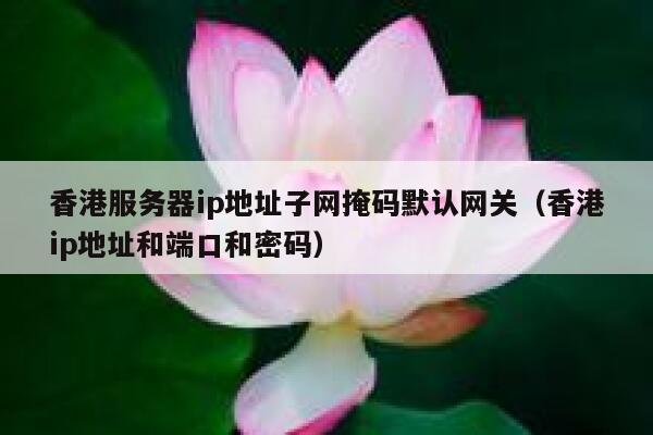 香港服务器ip地址子网掩码默认网关（香港ip地址和端口和密码） 第1张