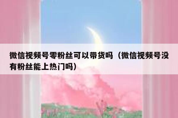 微信视频号零粉丝可以带货吗（微信视频号没有粉丝能上热门吗） 第1张