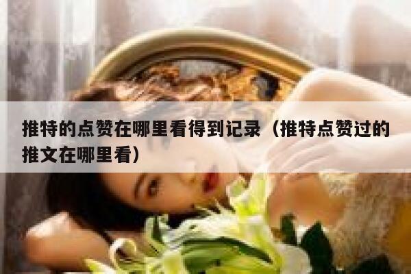 推特的点赞在哪里看得到记录（推特点赞过的推文在哪里看） 第1张