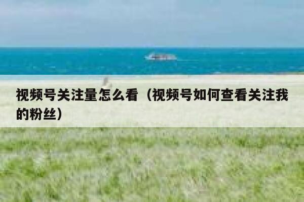 视频号关注量怎么看（视频号如何查看关注我的粉丝） 第1张
