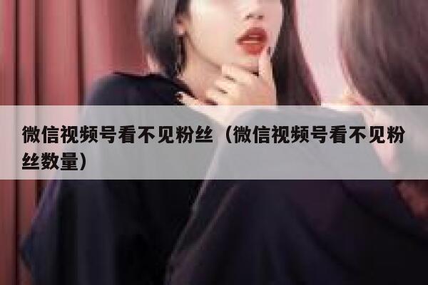 微信视频号看不见粉丝（微信视频号看不见粉丝数量） 第1张