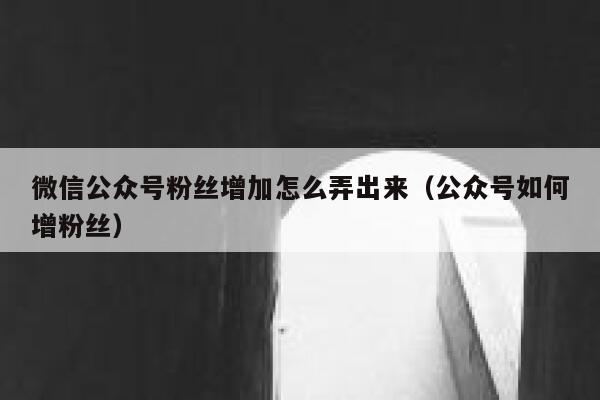 微信公众号粉丝增加怎么弄出来（公众号如何增粉丝） 第1张