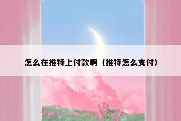 怎么在推特上付款啊（推特怎么支付） 第1张