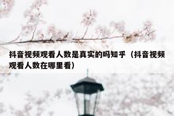 抖音视频观看人数是真实的吗知乎（抖音视频观看人数在哪里看） 第1张