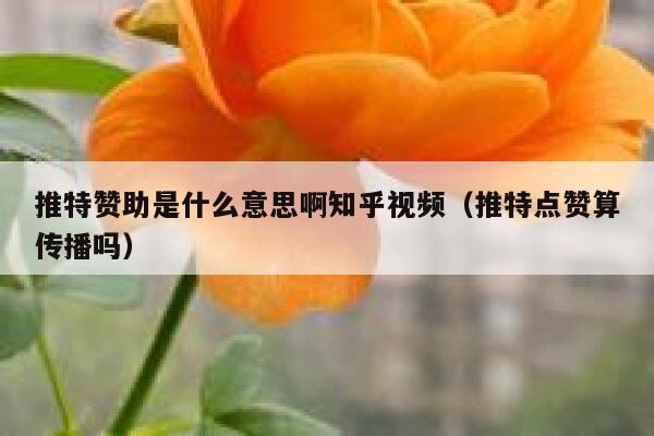 推特赞助是什么意思啊知乎视频（推特点赞算传播吗） 第1张