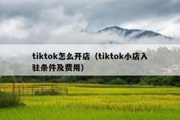 tiktok怎么开店（tiktok小店入驻条件及费用） 第1张